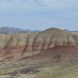 STEENS