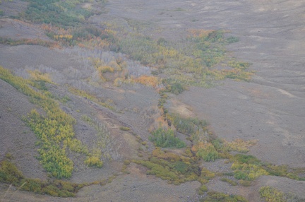 DSC 0426